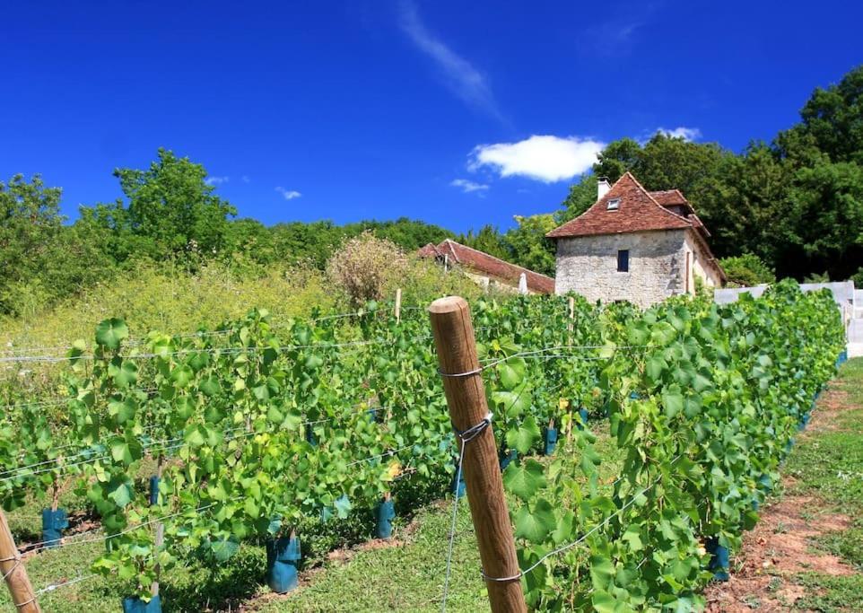 Le Haut Repaire Coubjours Szoba fotó